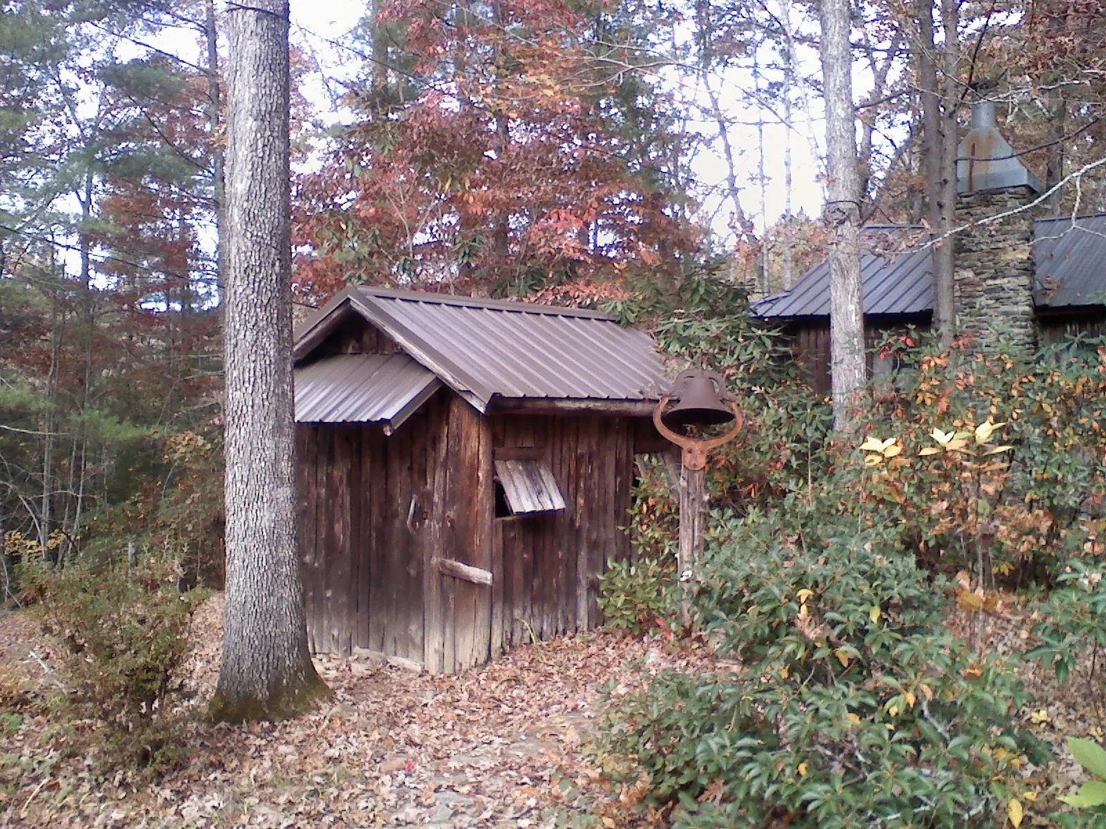 Small metal roof on a rough sawn shed in the woods in Coventry